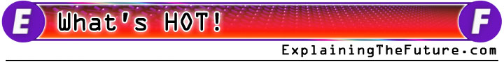What's Hot! Logo